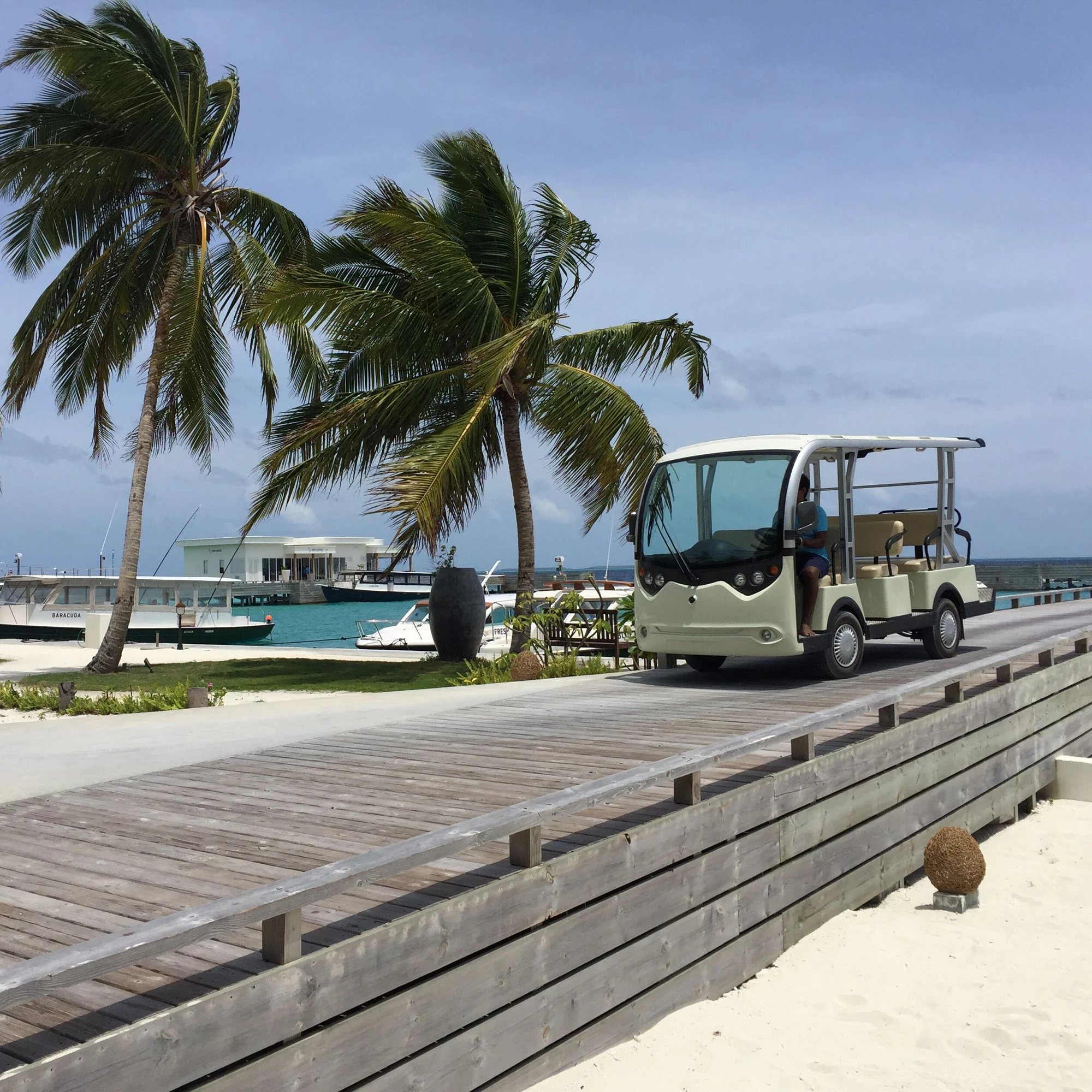 11 seater sightseeing electric golf cart bus on sale