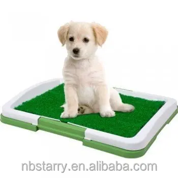 puppy potty pad