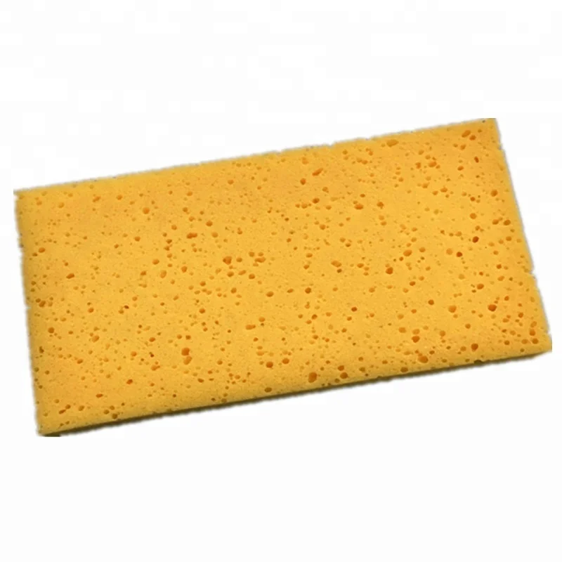 Губка для очистки водорослей 8