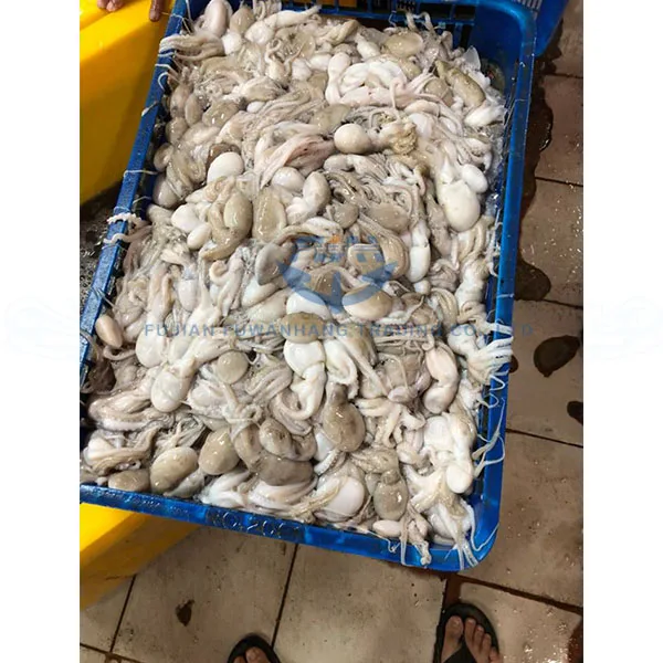 
Frozen octopus long leg with cheap price 