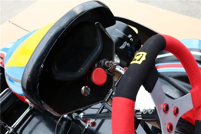 
2019 Newest fast racing electric go kart for sale with lithium battery tental kart business 