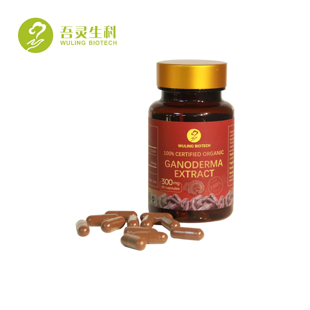 factory price ganoderma lucidum red reishi mushroom capsule lingzhi extract capsule