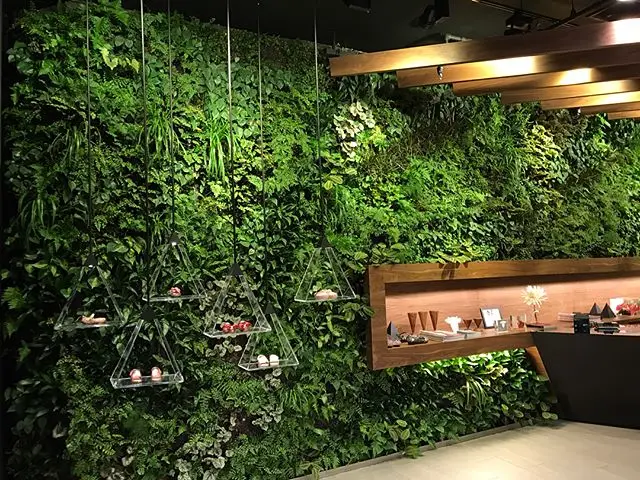 Wholesale florafelt greenwall geotextile plant wall vertical garden