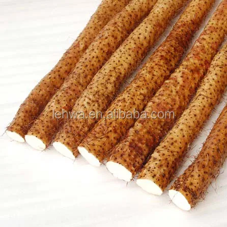 natural Shan Yao Organic Food Grade Chinese Yam Rhizome Powder