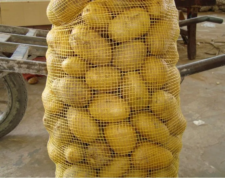 
Fresh holland Potato in mesh bag 