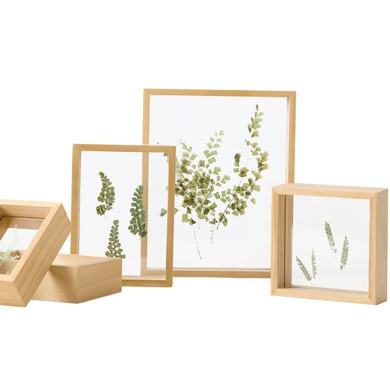 Двухсторонняя стеклянная прозрачная коробка для образцов растений