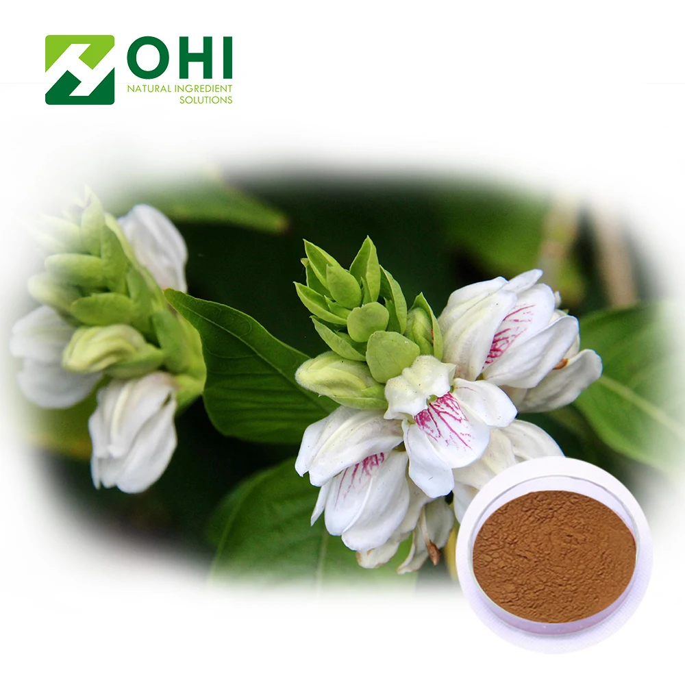 Vasa 98% Vasicine | Adhatoda Vasica Nees extract 10:1