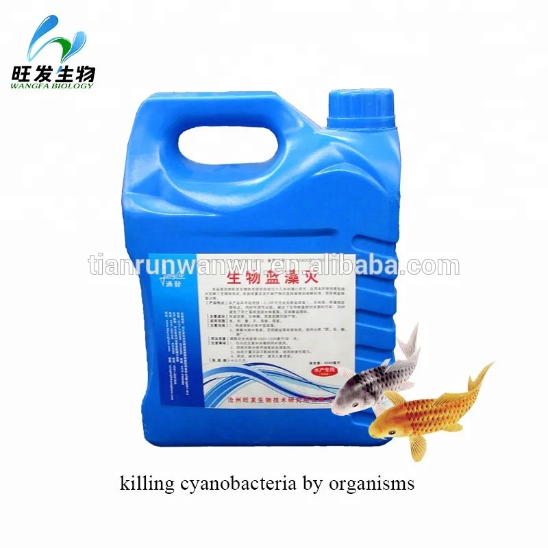 promotional aquaculture probiotics products for water purification