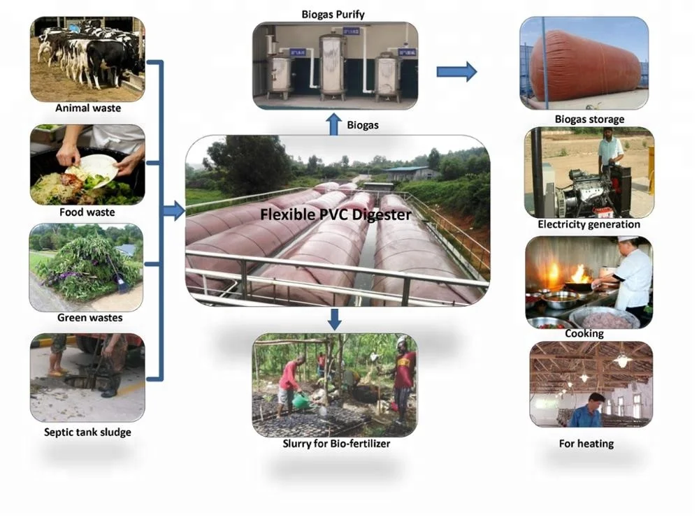 Biogas plant for waste