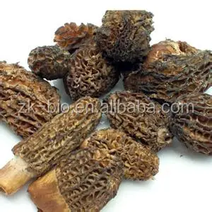 Лучшая цена на черный гриб-Морель