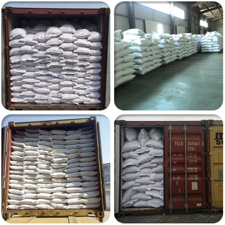 pumpkin seeds pumpkin price online