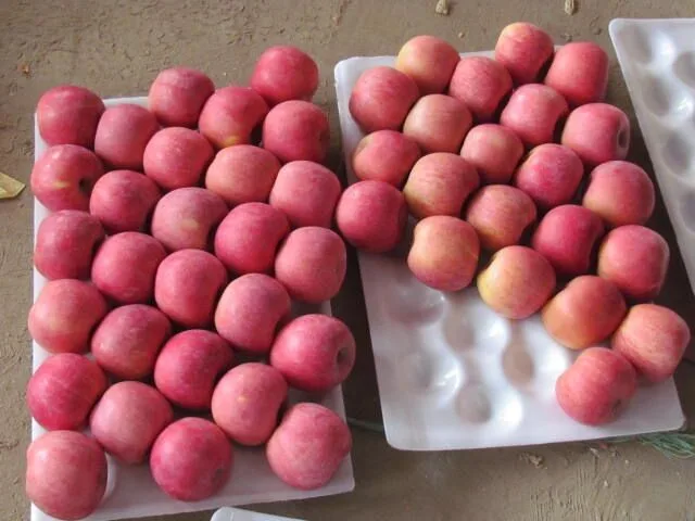 Китайские свежие яблоки с хорошей ценой