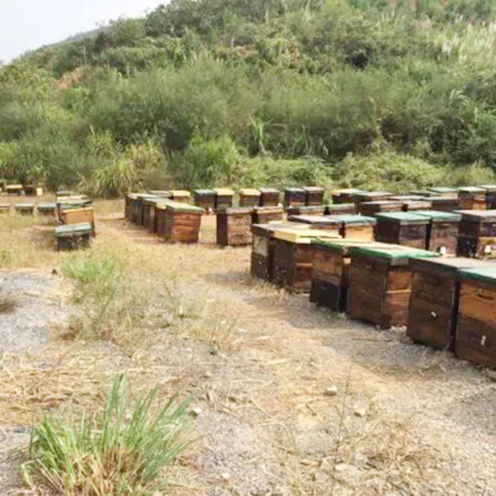 Pure natural  Raw Acacia Honey Product from China