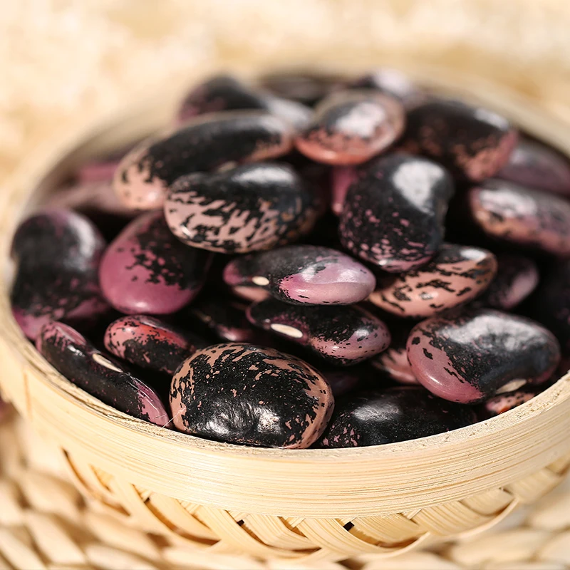 Organic large black speckled kidney bean for sale