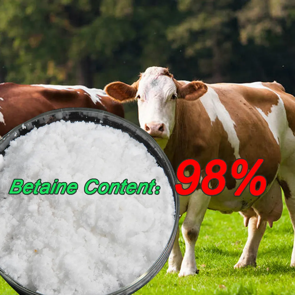 Содействие жирные кислоты бета-оксид бетаин 98%