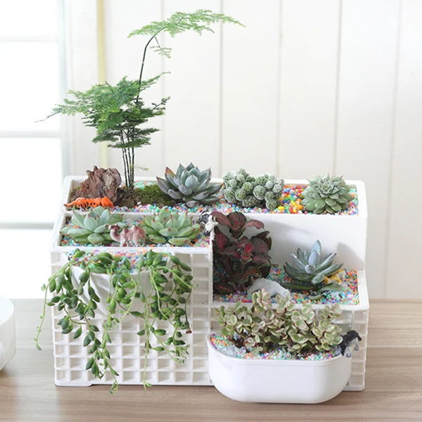 Новый креативный настенный садовый ящик для суккулентов, Настольный ящик для растений