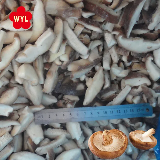 best quality frozen mushrooms iqf frozen shiitake slices cut whole for exporting