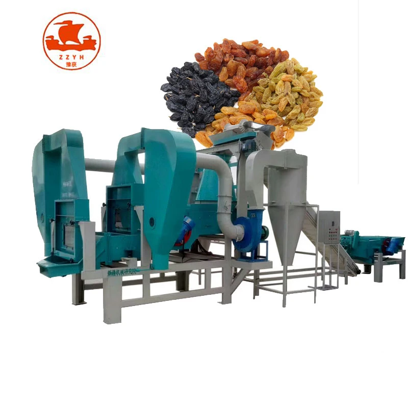 Stainless Steel Raisin Cleaning Drying Production Line Dried Grapes Production Line