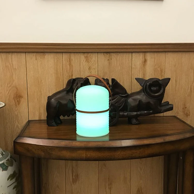 Hot Selling Portable Led Decorative Lamp With Remote Control Led Decorative Lights