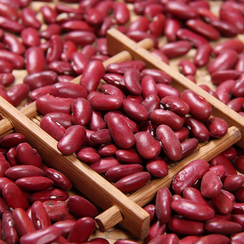 
Wholesale Dried Dark Red Kidney Bean for Canned Food  (60771020793)