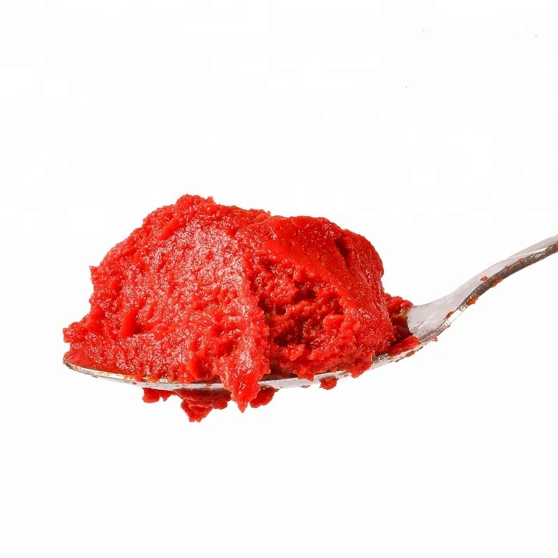 canned tomato paste brix 28/30 in drums from Xinjiag China