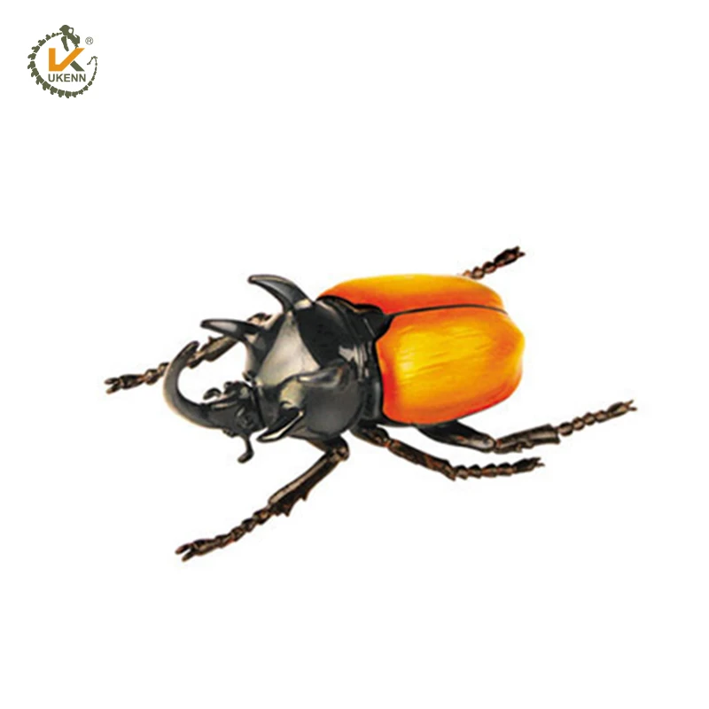 Cheap Price Plastic 3d Beetle Model Toys Insect Model Toy For Kids Scientific Education Set