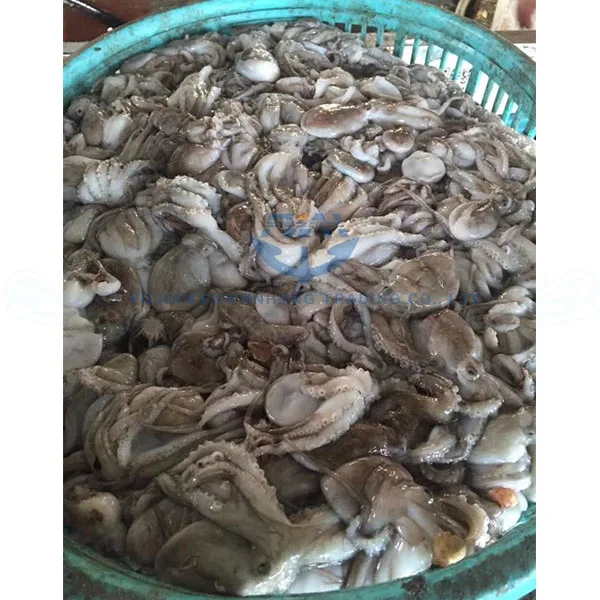 
Frozen baby octopus wholesale for Korea market 