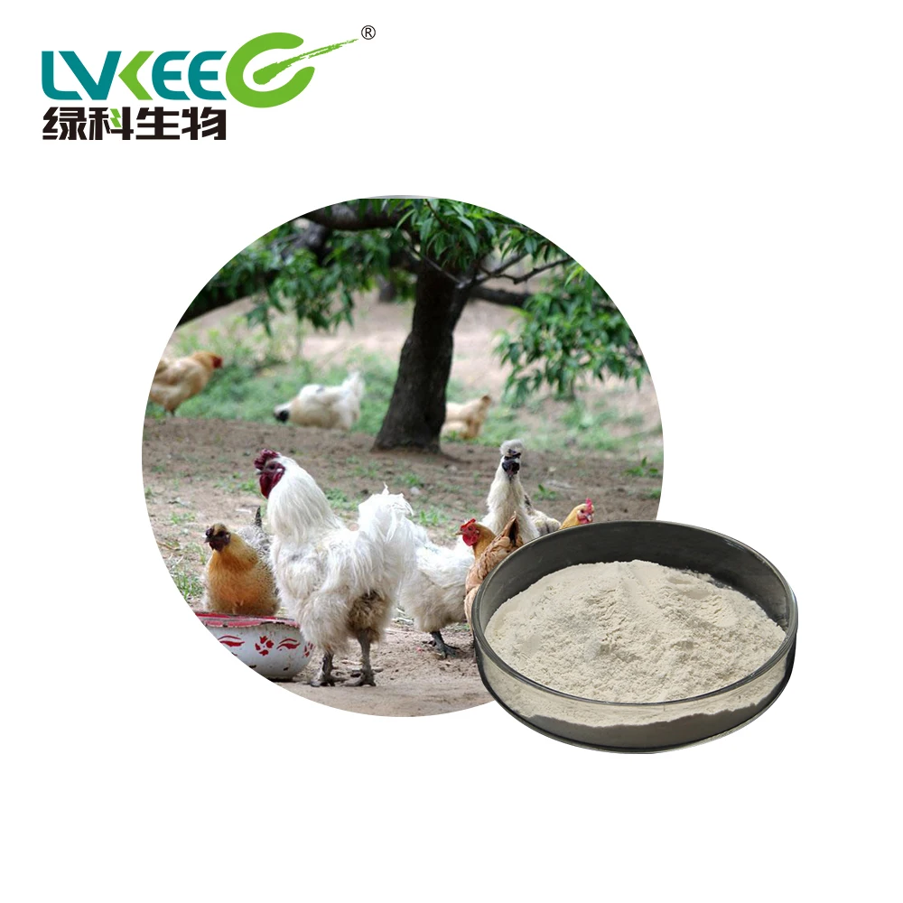 Feed grade Aquaculture Enzyme Bacillus subtilis for Shrimp Fish Farming feed additive