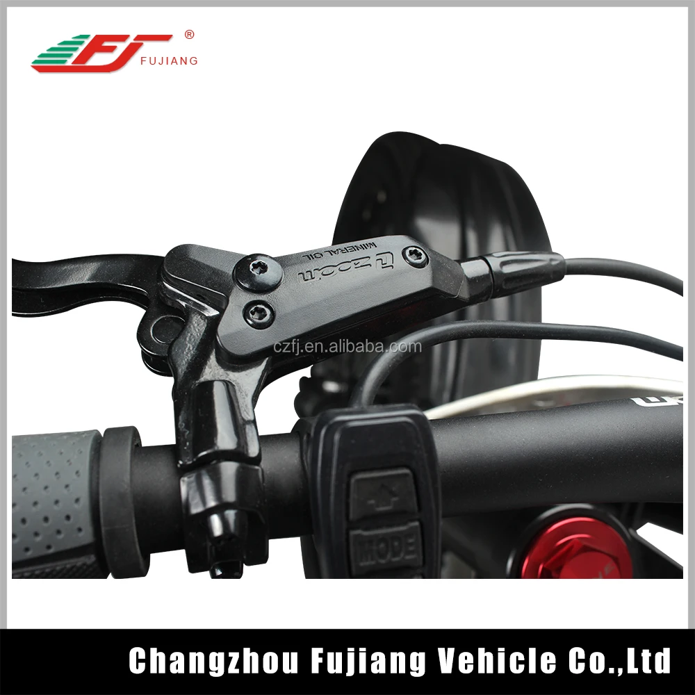 China battery 48v 13ah 1000w fat tire fashion munro 2.0 adult e-bike electric bike bicycle