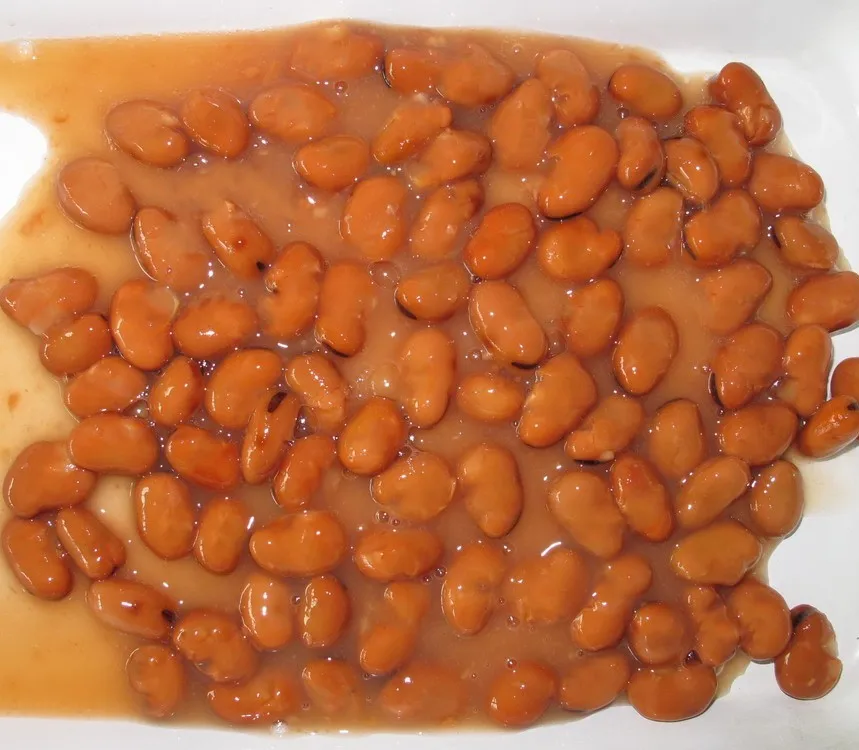 Chinese Factory Wholesale 397g canned broad beans canned foul medames