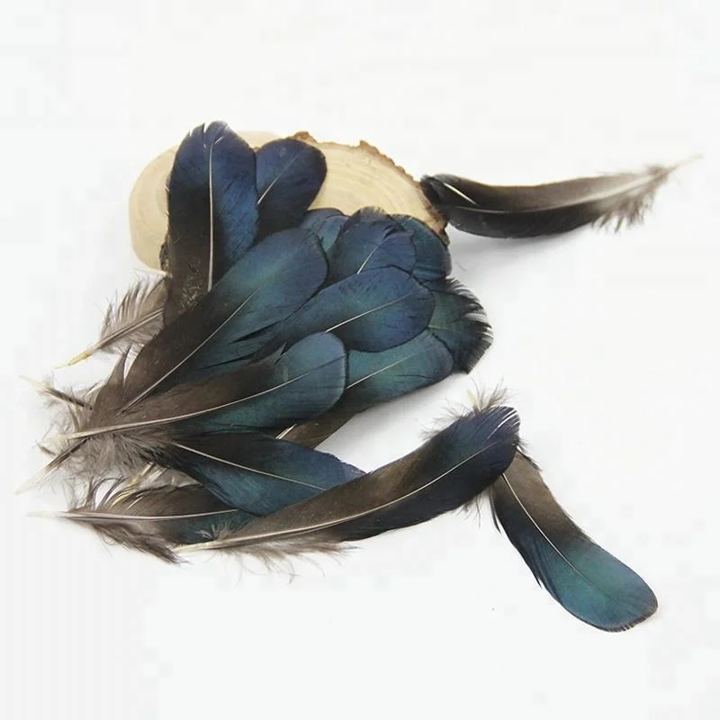 4-6 дюймов (10-15 см), оптовая продажа, высокое качество, натуральное, маленького размера, синее дамское перо фазана
