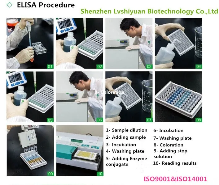 ELISA procedure_