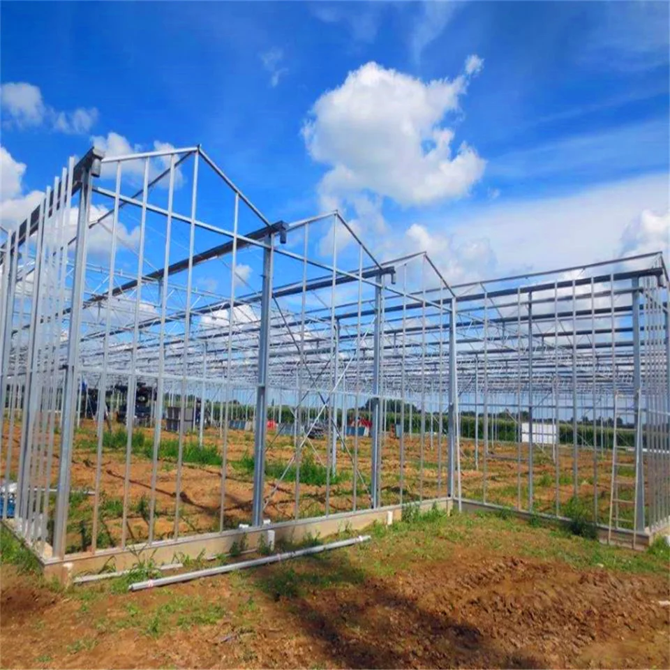 
agricultural polycarbonate greenhouse with 10mm thick polycarbonate sheet as covering insect net 