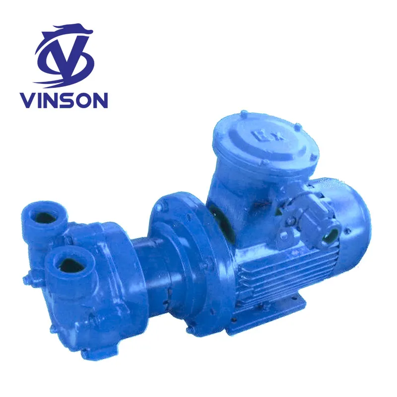 Hot selling sewage suction casting iron Biogas Vacuum pump sand Pump