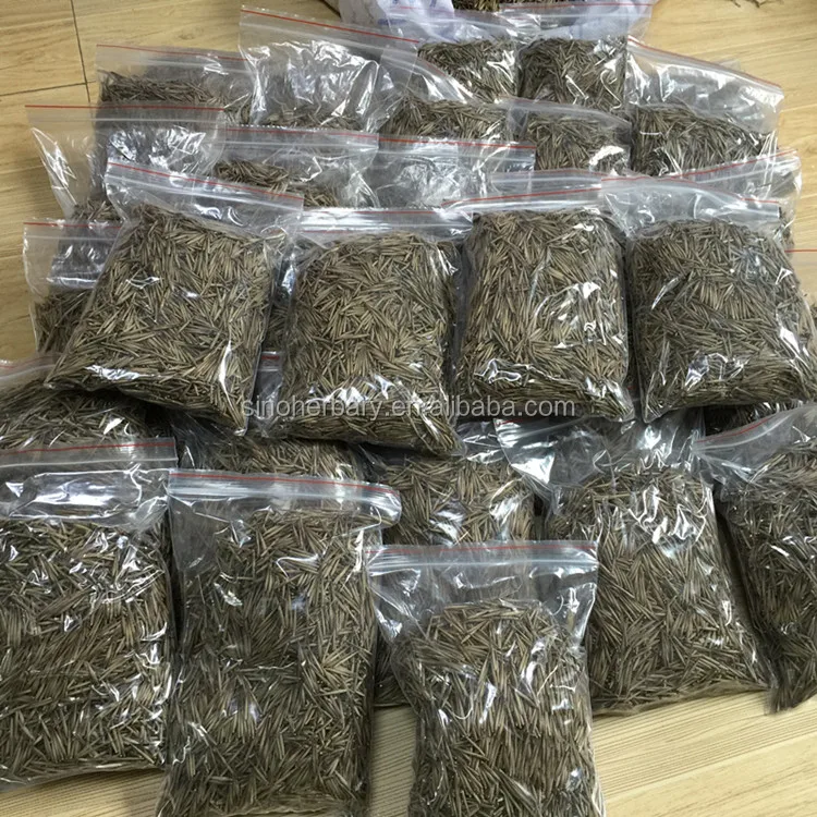 Онлайн-продажа семян высокой прорастания Bambus для посева