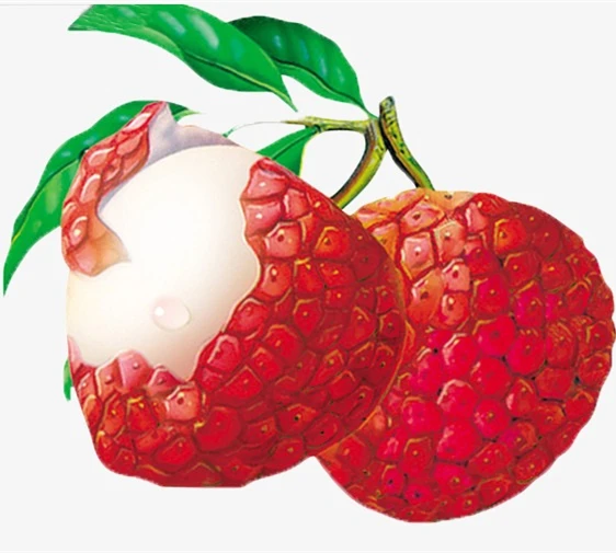 Canned lychee in syrup best selling products tin can for indonesia