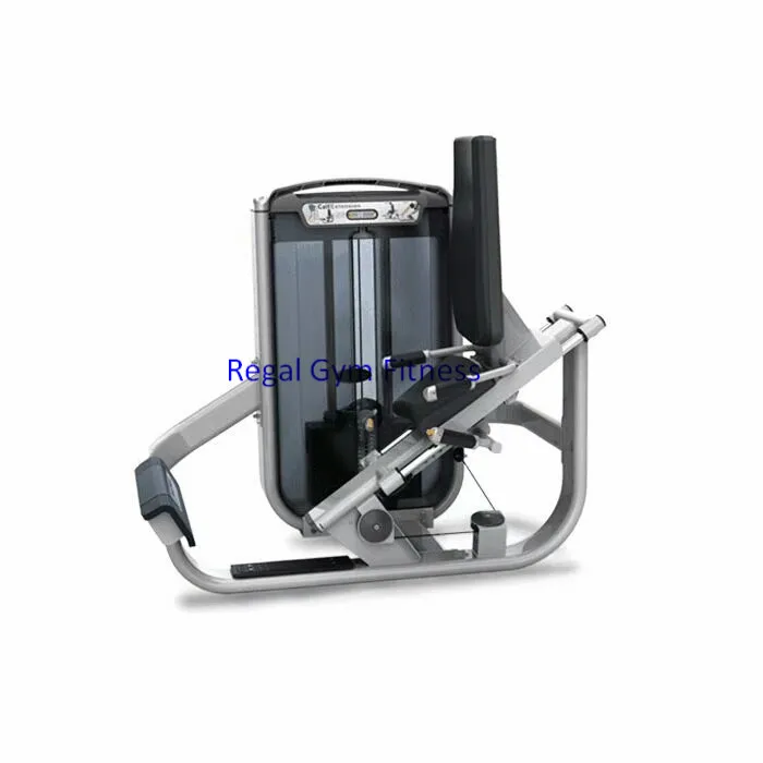 Wholesale Gym Equipment Matrix Strength Biceps trainer Sports Equipment