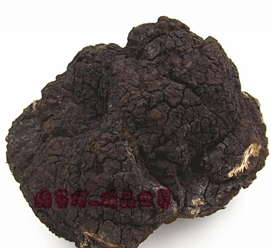 
Wholesale Wild whole russia origin Siberia chaga mushroom for sale 
