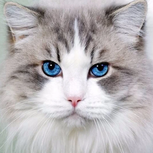 
Purchasing agent YZJN, buying agent, China agent 