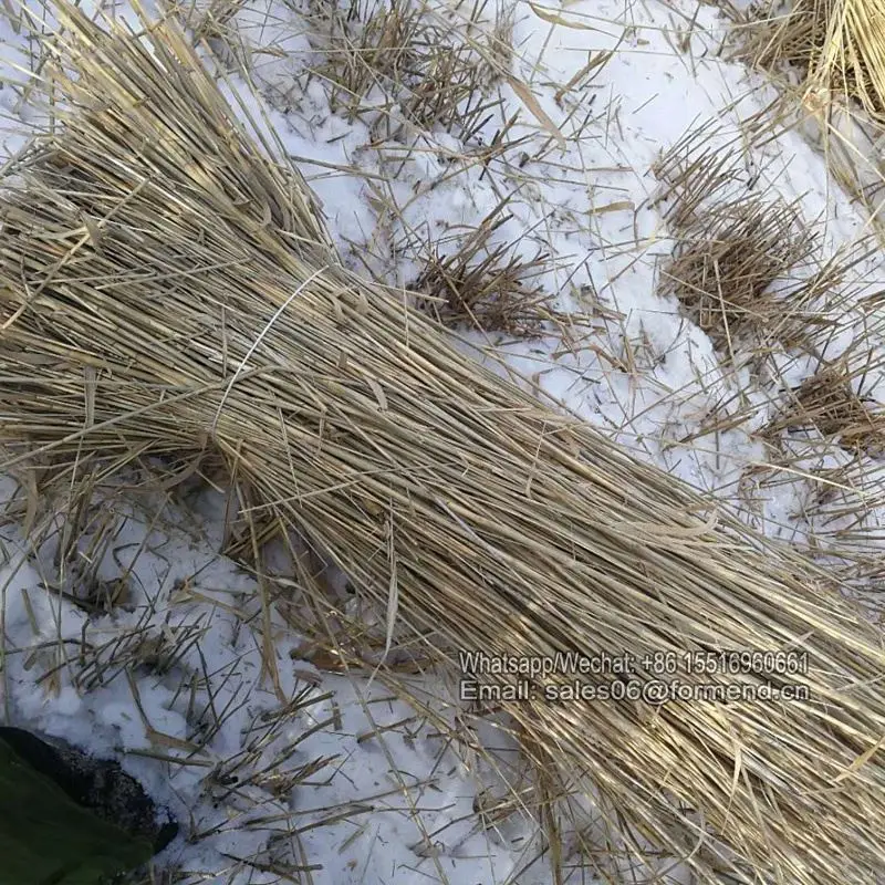 2019 new model 4 wheels BCS diesel paddy small rice reaper binder machine price