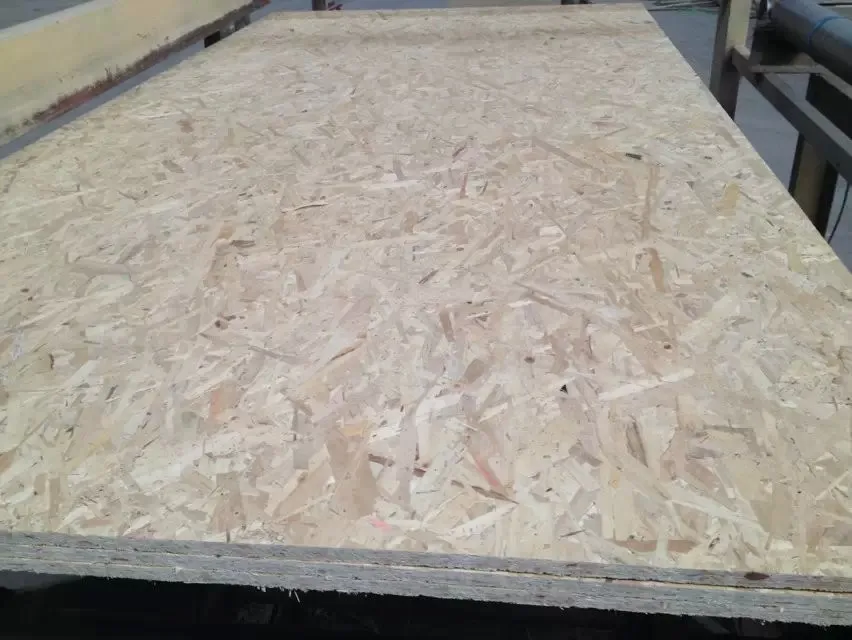 OSB board plywood for construction