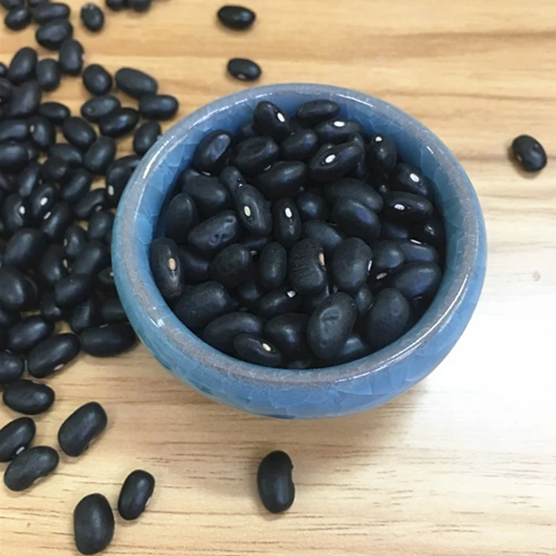Wholesale commercial Dried Black bean and black kidney price for export