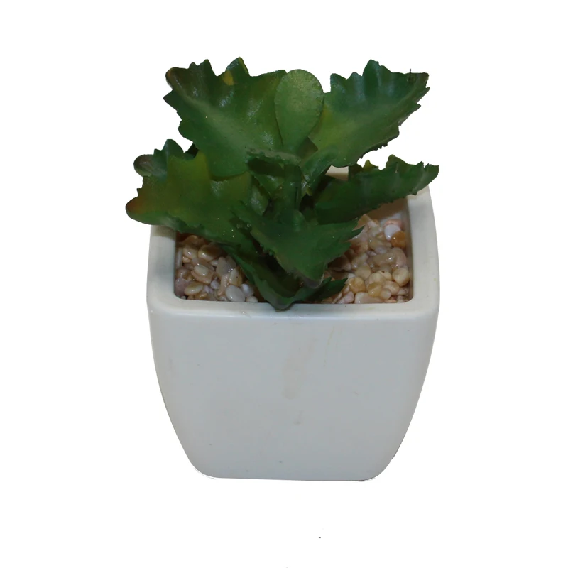 
Artificial mini succulents plants glass ball plant 