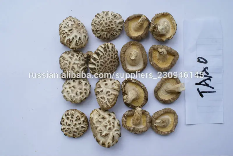 Китайские грибы шиитаке