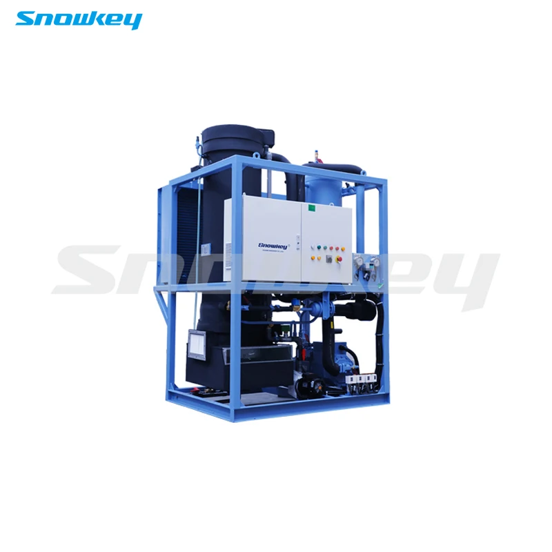 
Snowkey 3 Ton Best Quality Tube Ice Machine for Malaysia 