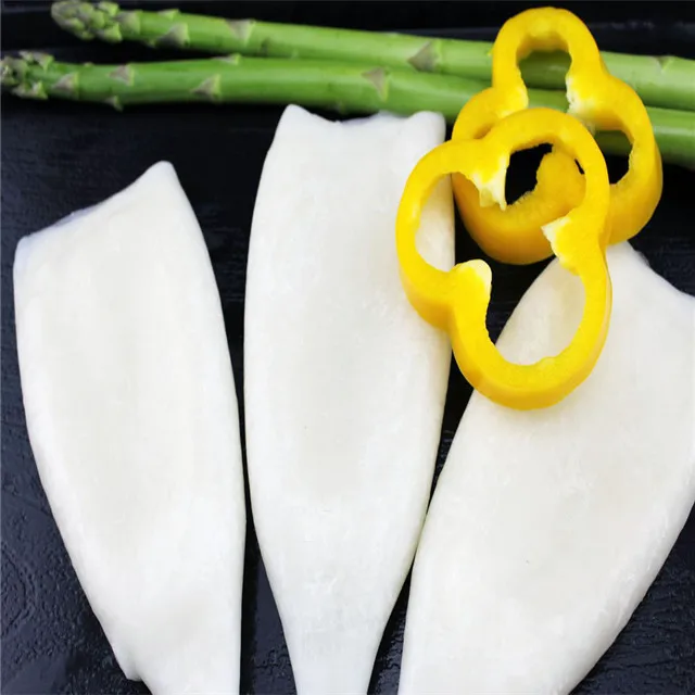 
frozen squid tube illex squid 