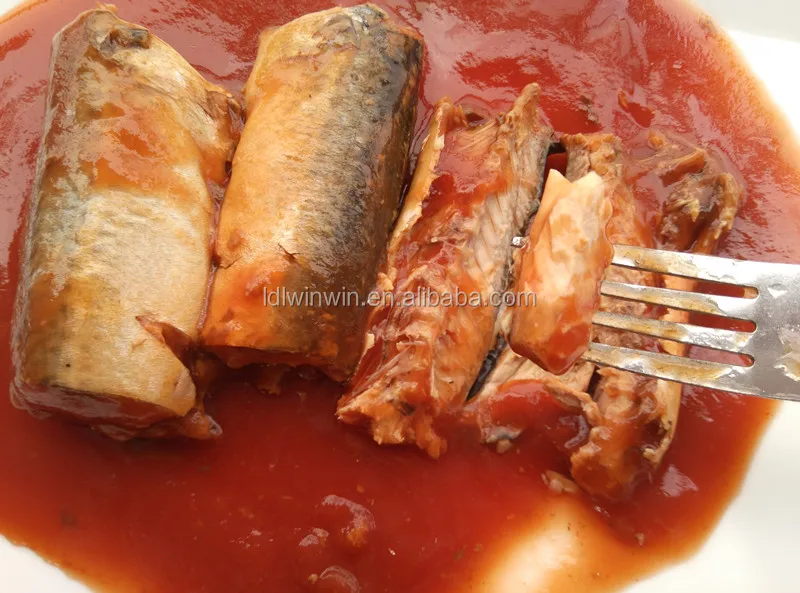 
425G CANNED SARDINE IN TOMATO SAUCE IN OVAL CAN FOR SOUTH AMERICA MARKET 
