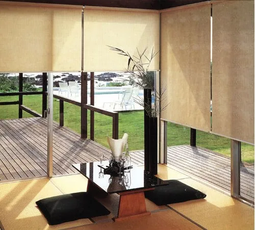 Chinese Supplier Outdoor Roller Blinds For Shading