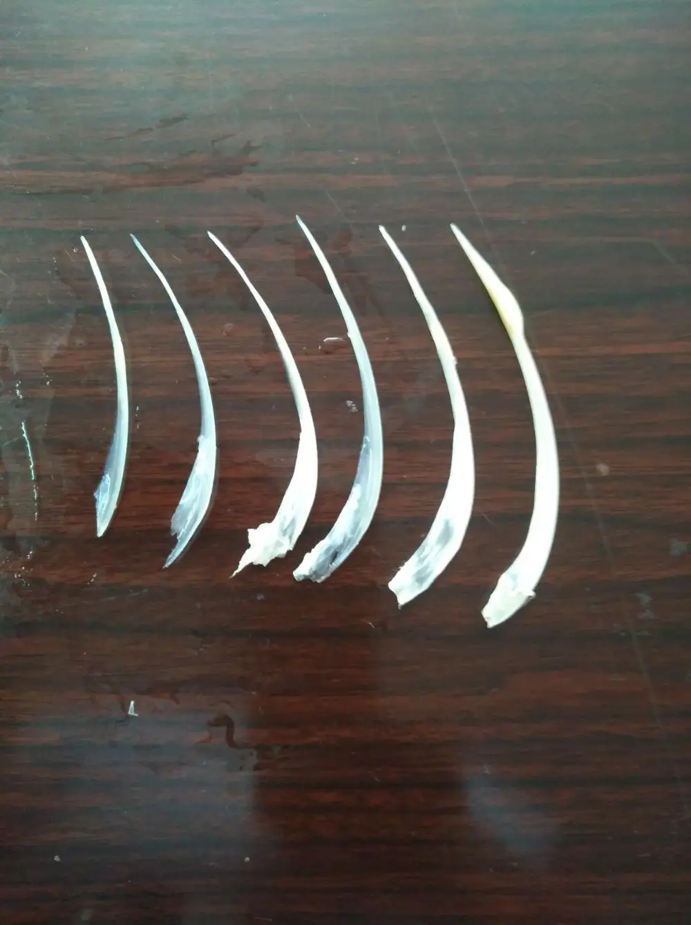 2018 fish pin bone remover cutting machine