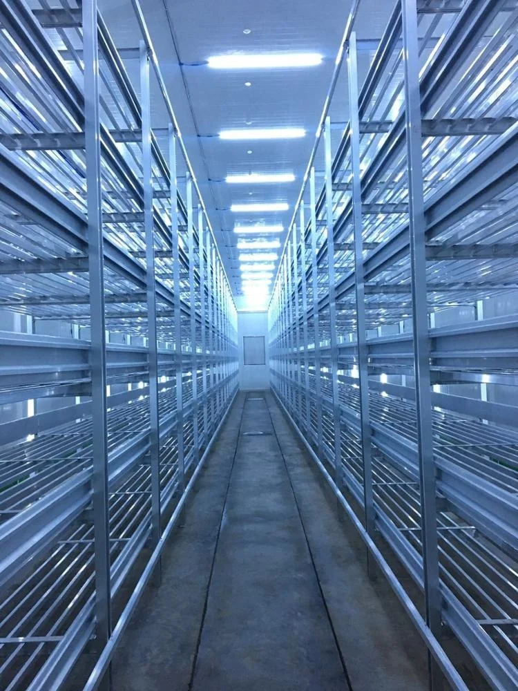 mushroom growing 6063 aluminum shelving
